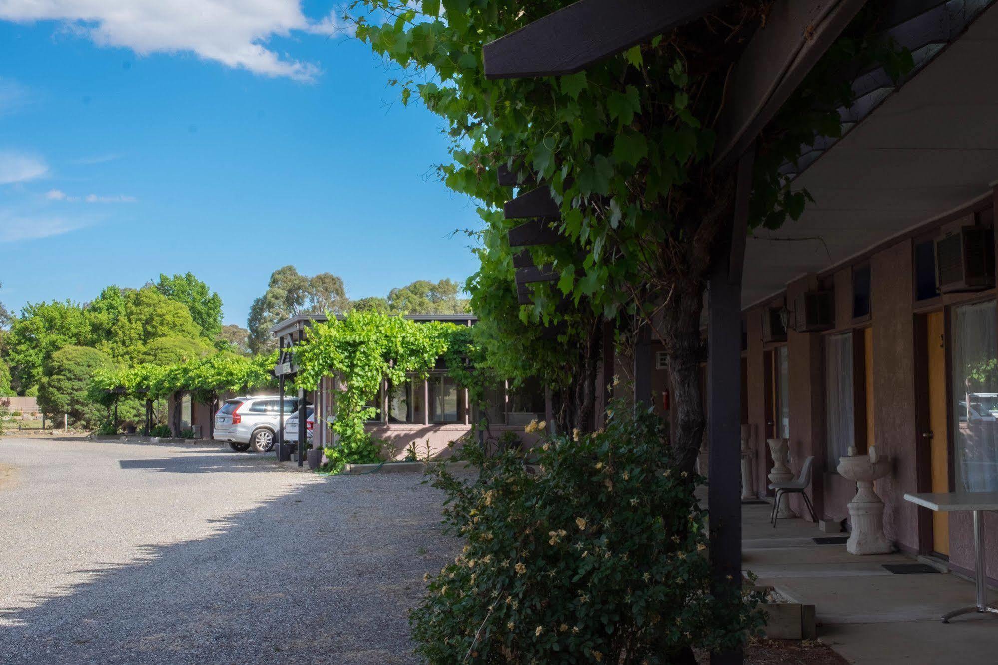 Stawell'S London Motor Inn Екстериор снимка